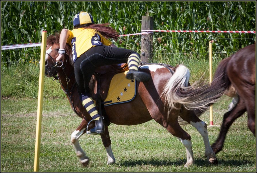 Mounted Games 049